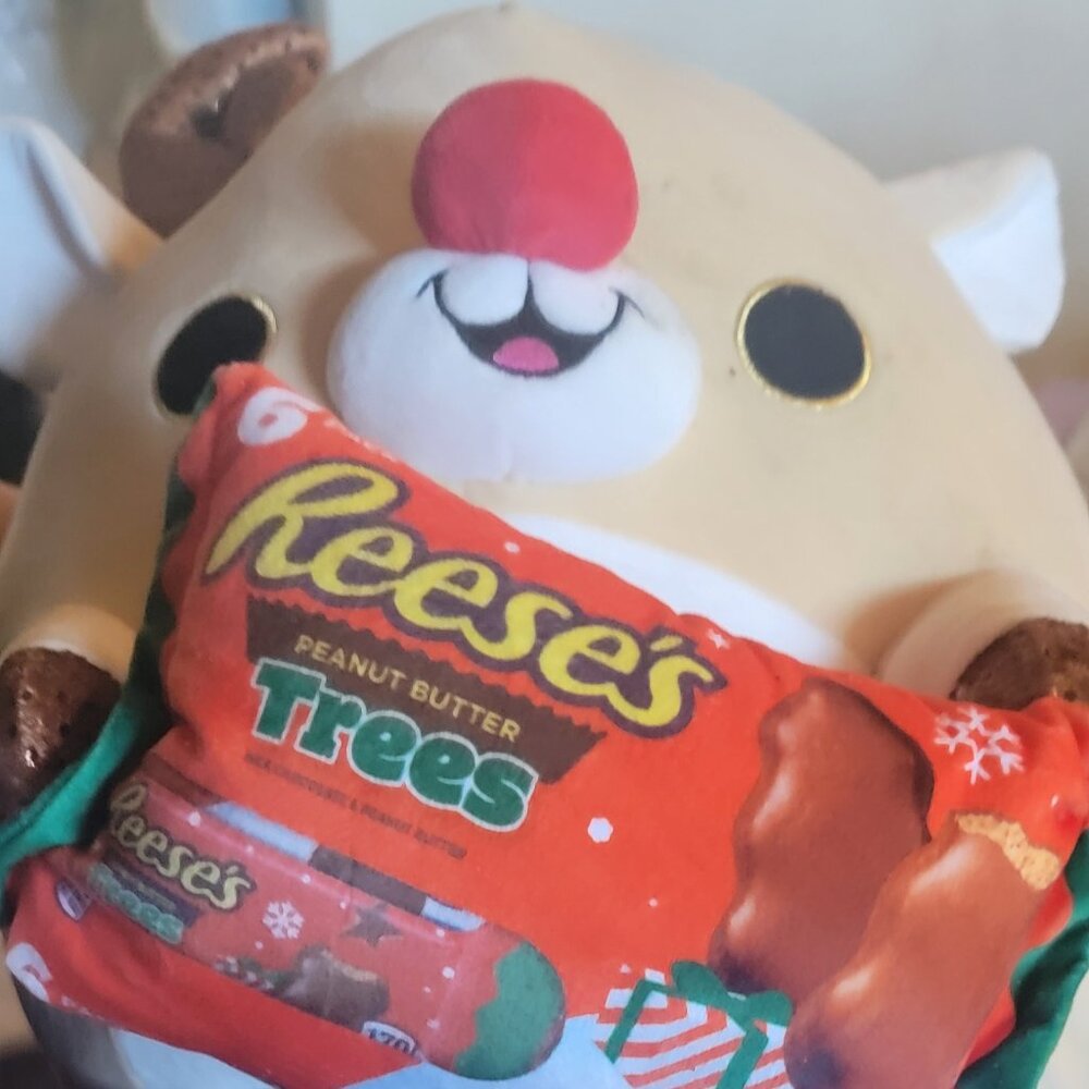 Christmas Plushy Reindeer with Reese
